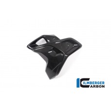 Ilmberger Carbon Airtube Left INCL. Flap (2 Pieces) for the BMW R 1250 GS 2019